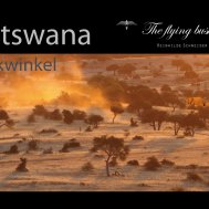 Flying Bushhawks Kalender 2025, Bild 4/7